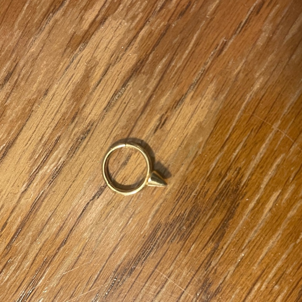 Maria tash non rotating single spike earring